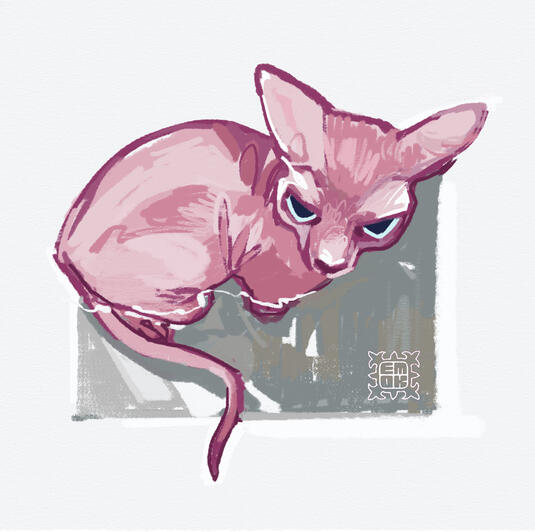 Kitty Lilu!