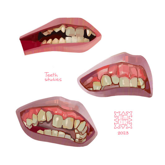 Teeth studies - 2023