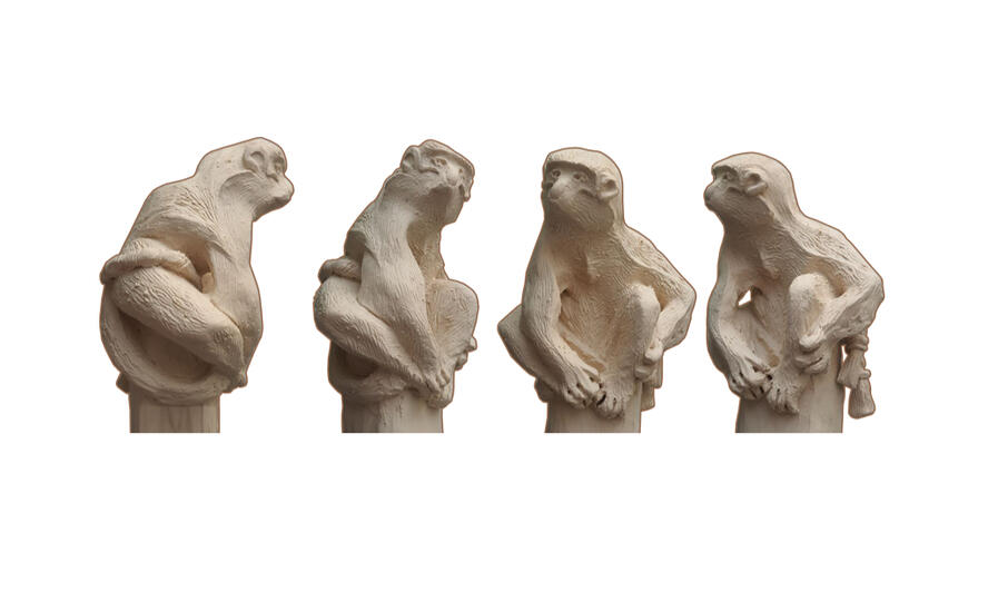 Monkey studies - Сlay